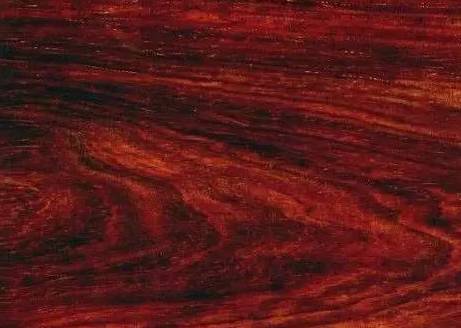 1615944061164934.jpg 1615944061164934.jpg