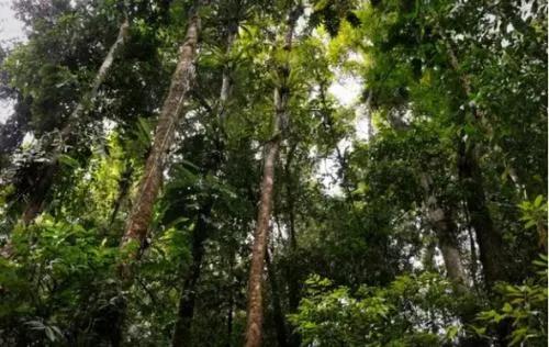 1615944141800297.jpg 1615944141800297.jpg