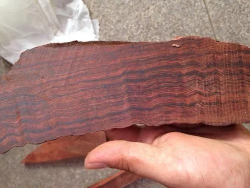 1615944207934888.jpg 1615944207934888.jpg