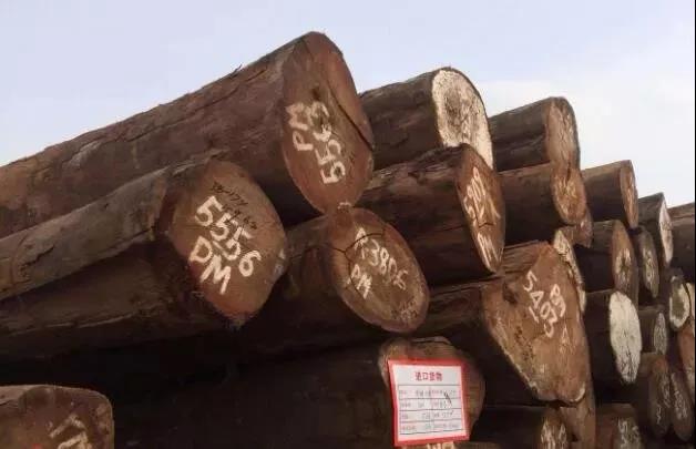 1616300825625906.jpg 1616300825625906.jpg