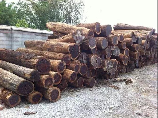 1616301327421087.jpg 1616301327421087.jpg