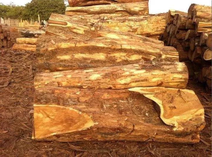 1616301371521316.jpg 1616301371521316.jpg