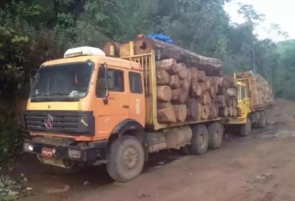 1616639428930596.jpg 1616639428930596.jpg