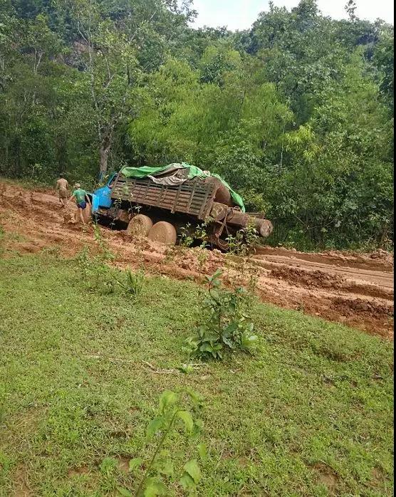 1616639630794004.jpg 1616639630794004.jpg