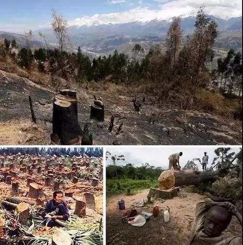 1616729199307649.jpg 1616729199307649.jpg