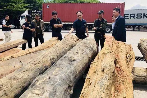 1616730719798386.jpg 1616730719798386.jpg