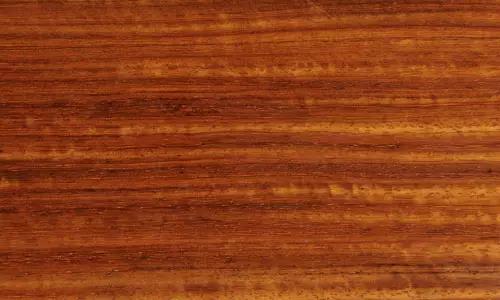 1616989327161216.jpg 1616989327161216.jpg