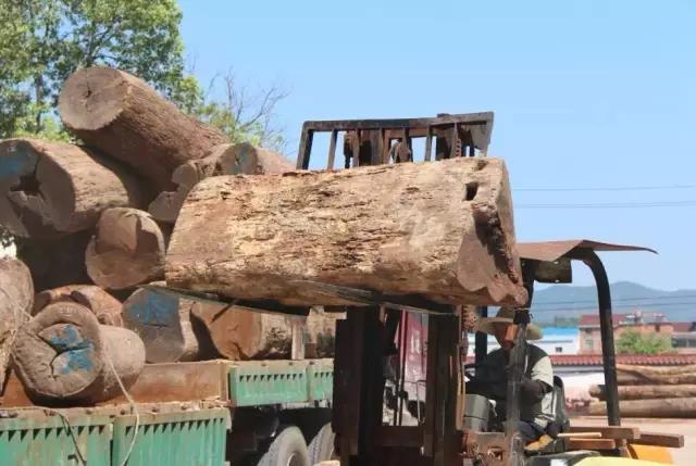 1616989536173873.jpg 1616989536173873.jpg