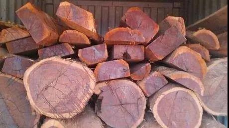 1617181584228170.jpg 1617181584228170.jpg