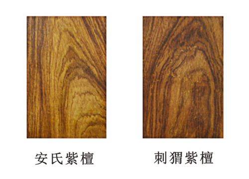 1617181800512274.jpg 1617181800512274.jpg