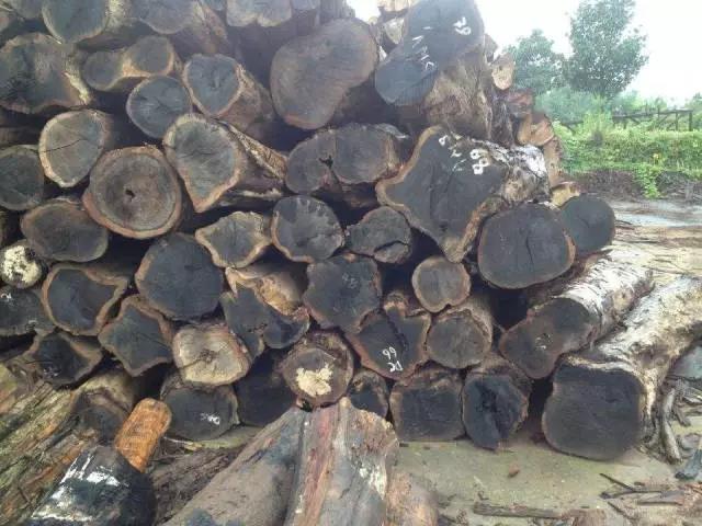 1617182305499096.jpg 1617182305499096.jpg