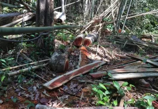 1617949719128121.jpg 1617949719128121.jpg