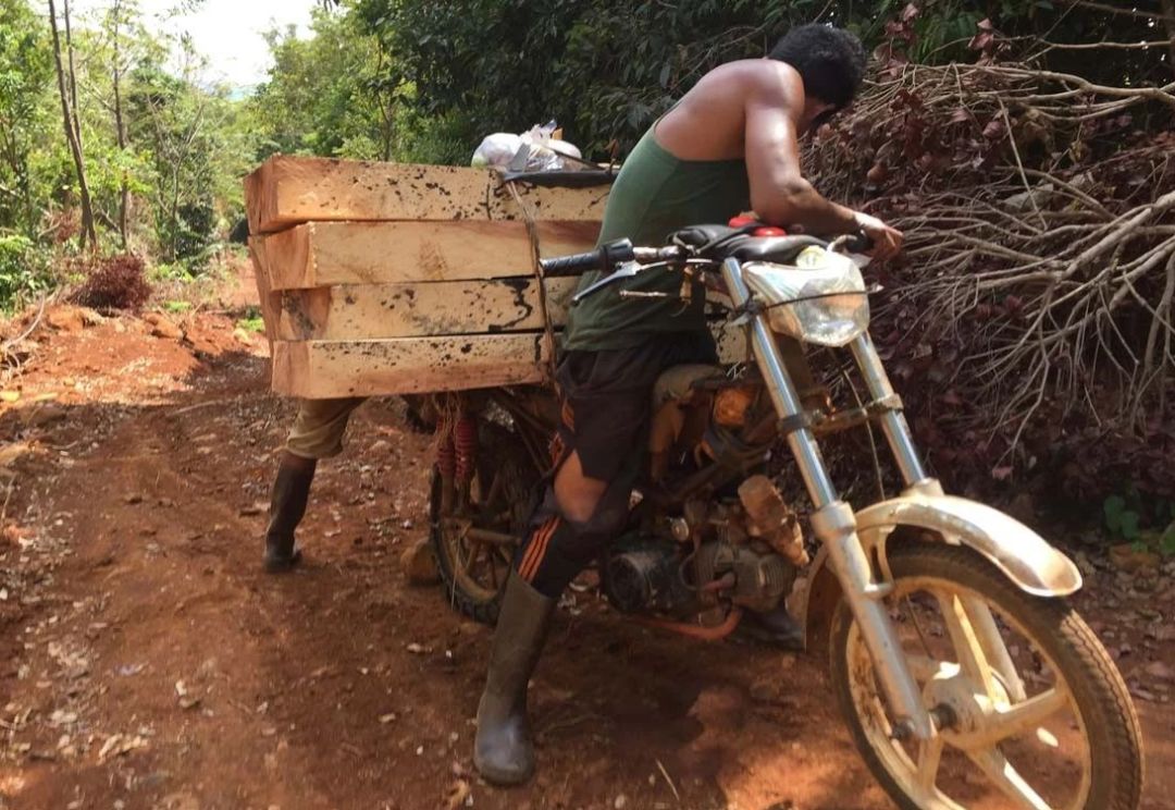 1617949785208505.jpg 1617949785208505.jpg