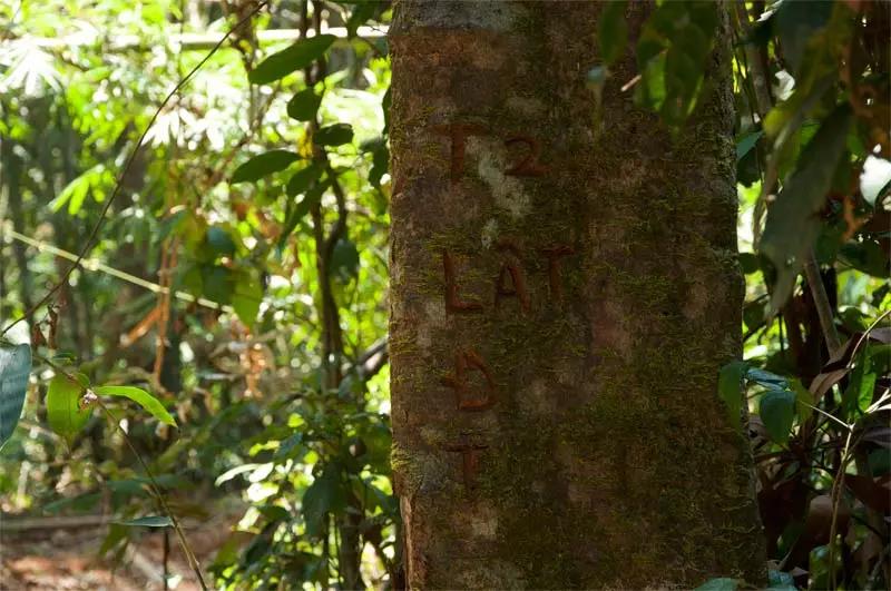 1617949876149692.jpg 1617949876149692.jpg