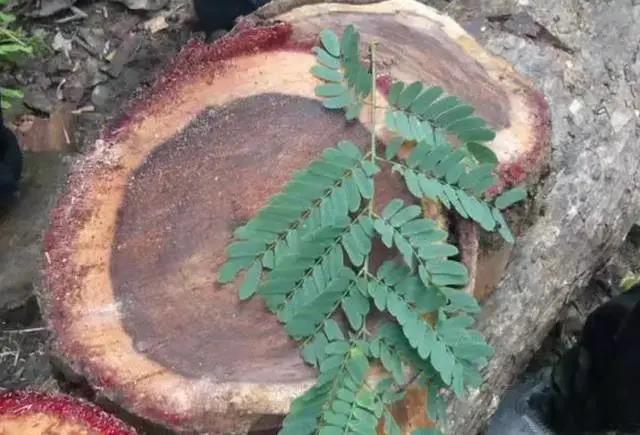 1641260098414606.jpg 1641260098414606.jpg