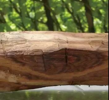 1641950893854200.jpg 1641950893854200.jpg