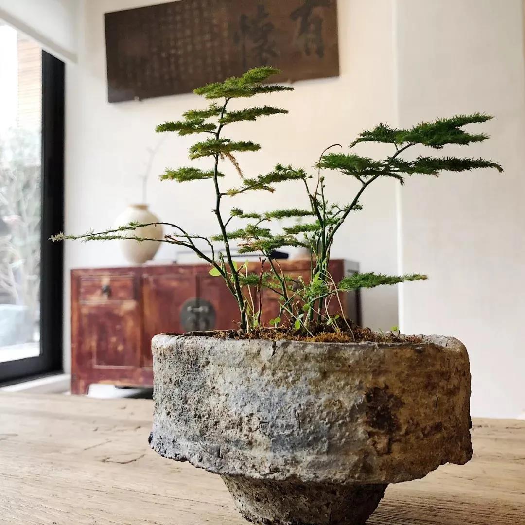 1642121944568576.jpg 1642121944568576.jpg