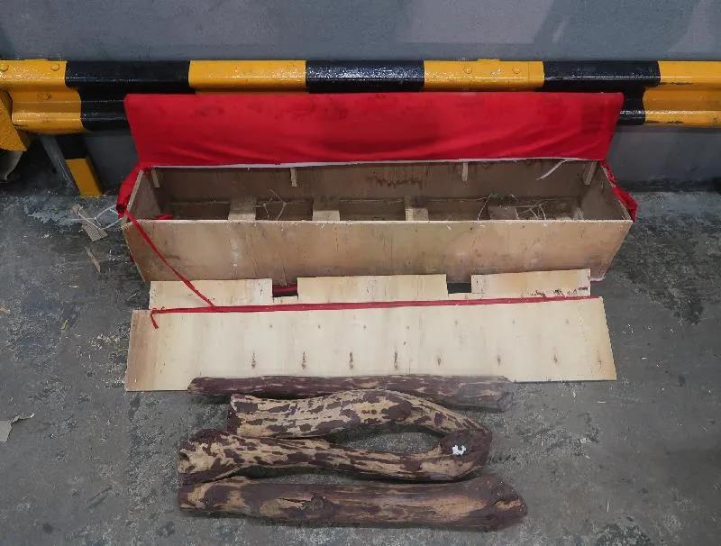 1642213112454759.jpg 1642213112454759.jpg